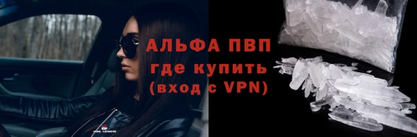 стафф Арсеньев