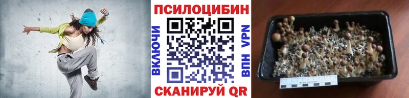 маркетплейс Telegram  Ухта  Галлюциногенные грибы Psilocybine cubensis  где купить  